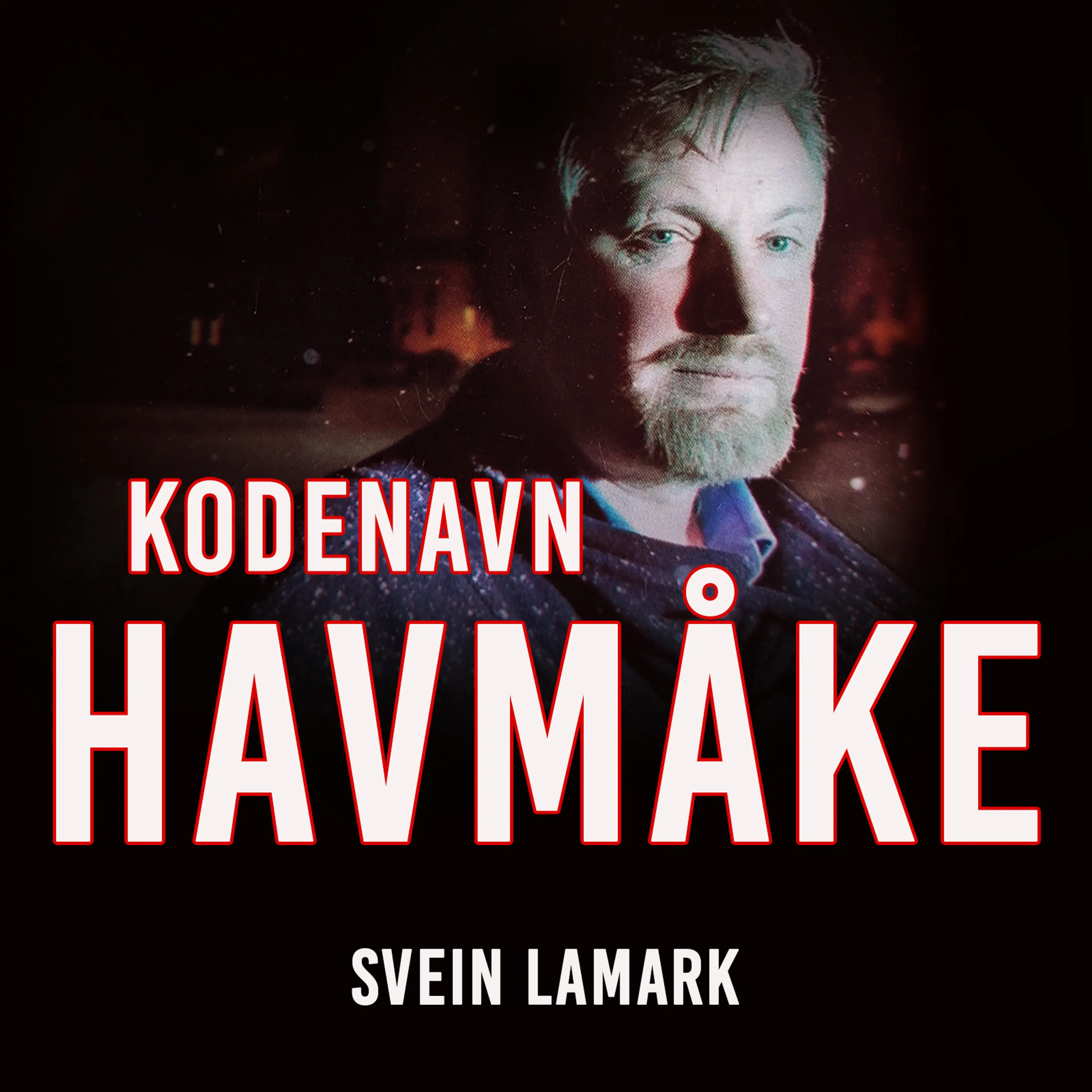 Omslag Kodenavn havmåke av Svein Lamark (Lydbok)