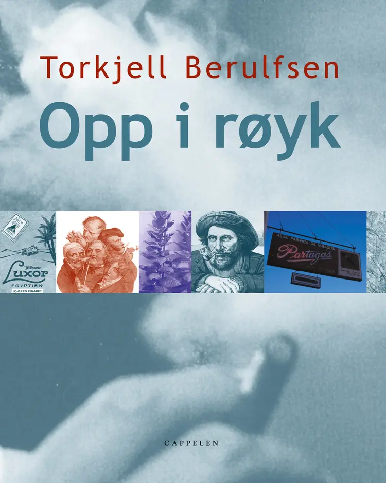 Omslag Opp i røyk av Torkjell Berulfsen (Innbundet)