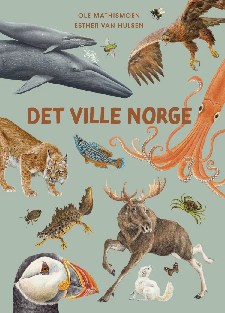 Omslag Det ville Norge av Ole Mathismoen (Innbundet)