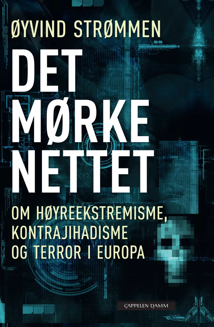 Omslag Det mørke nettet av Øyvind Strømmen (Innbundet)