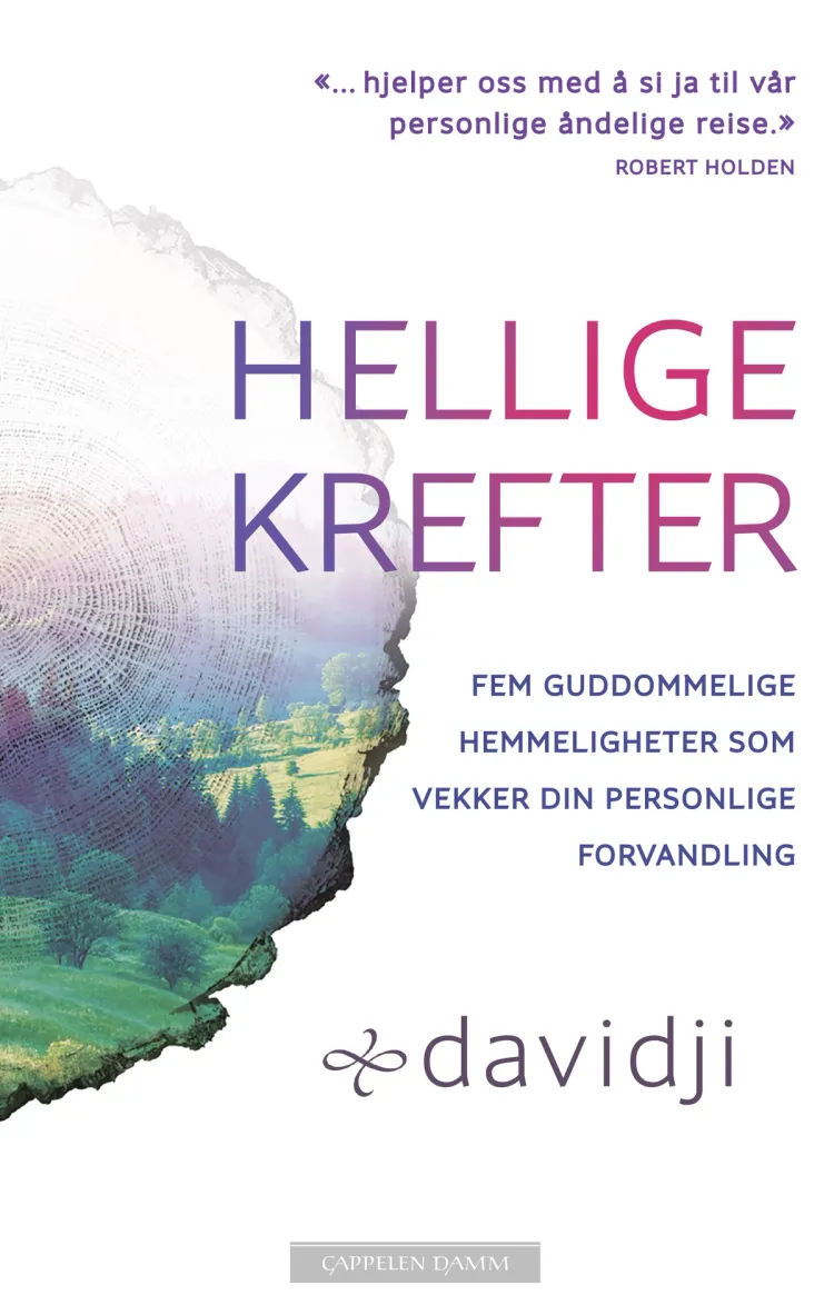 Omslag Hellige krefter av davidji (Heftet)