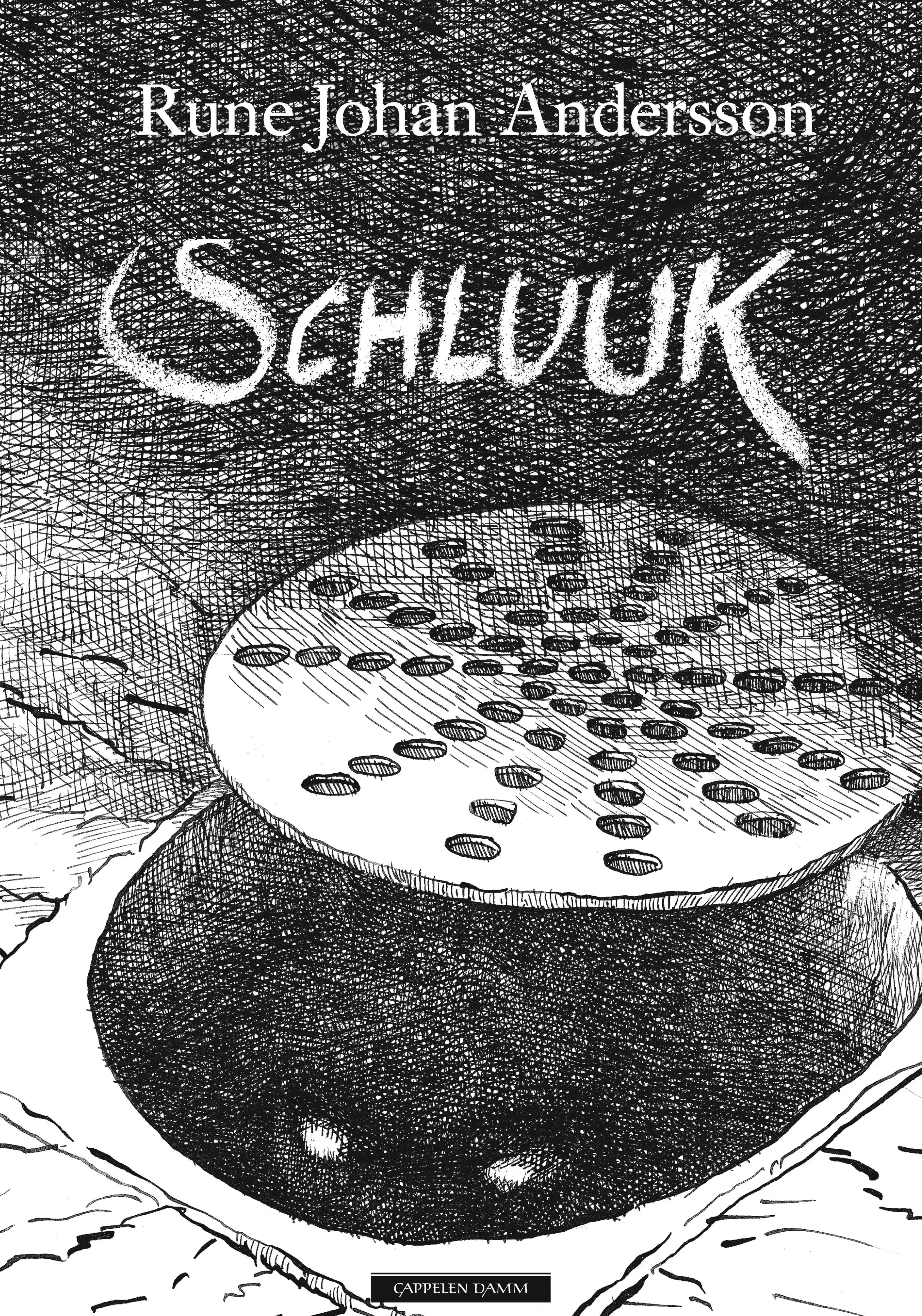 Omslag Schluuk av Rune Johan Andersson (Innbundet)
