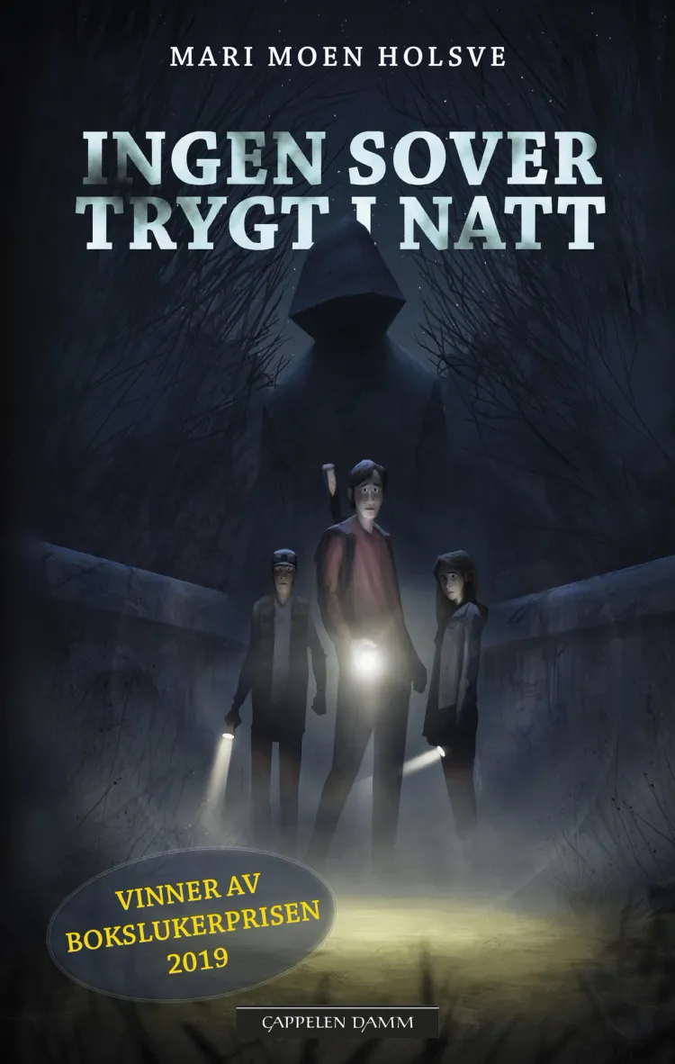 Omslag Ingen sover trygt i natt av Mari Moen Holsve (Heftet)