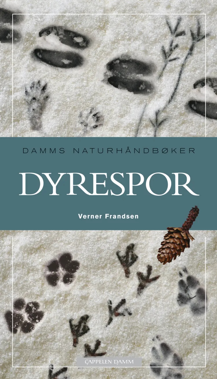 Omslag Dyrespor av Verner Frandsen (Innbundet)