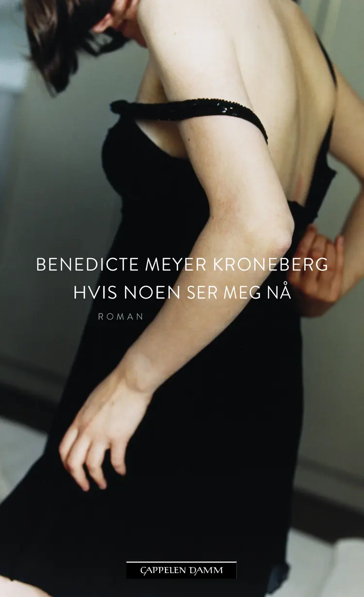 Omslag Hvis noen ser meg nå av Benedicte Meyer Kroneberg (Innbundet)