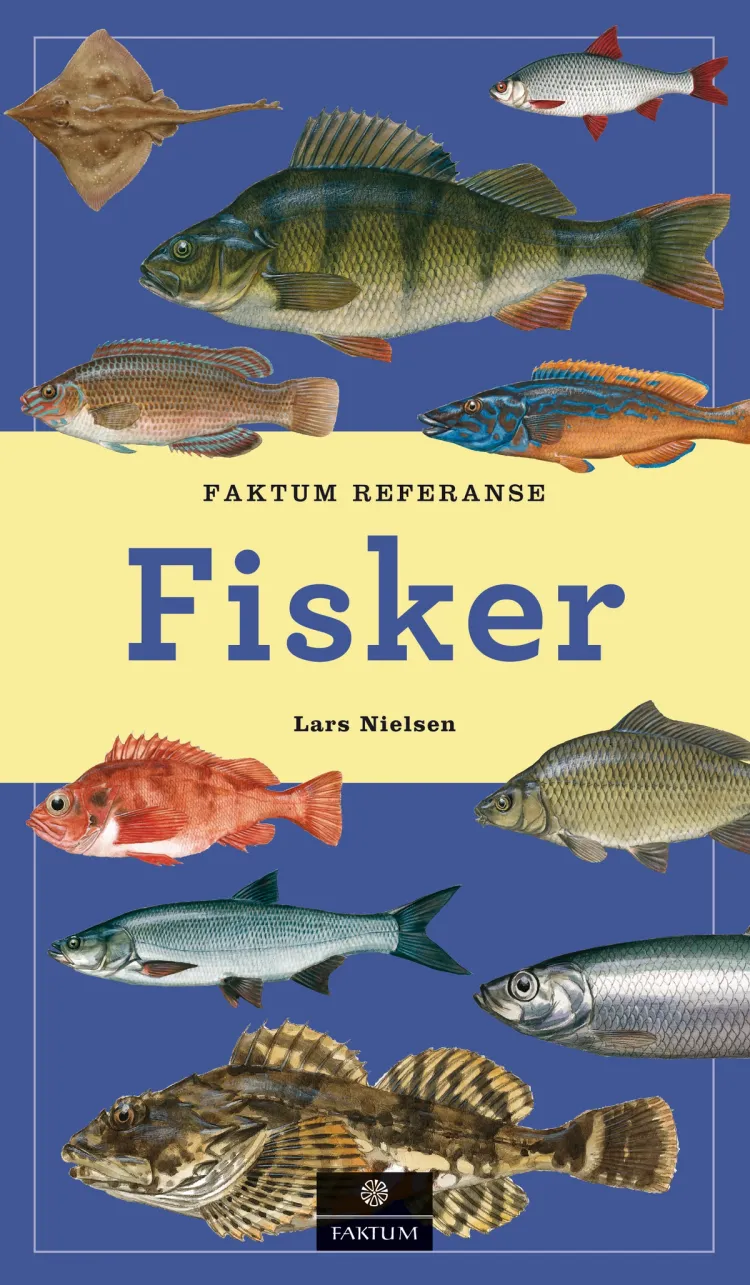 Omslag Fisker av Lars Nielsen (Innbundet)