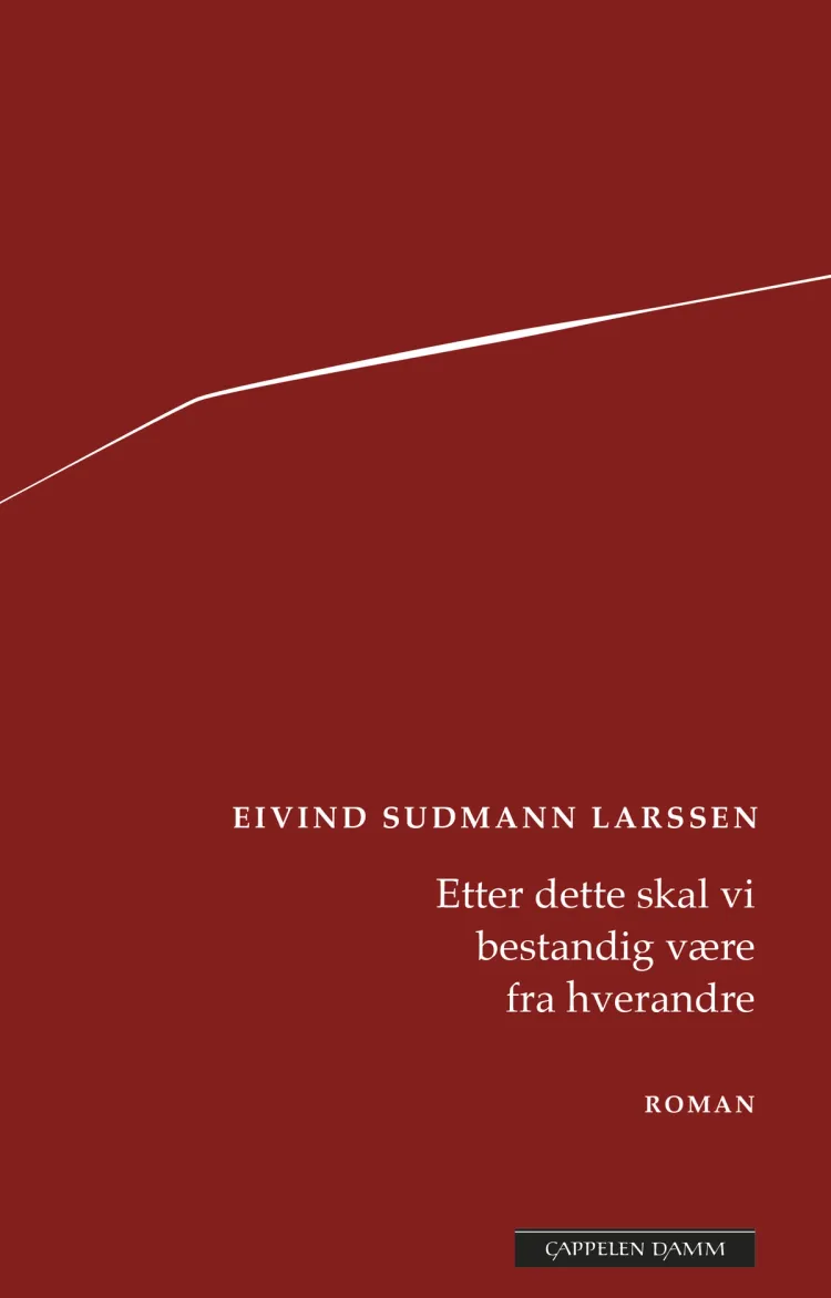Omslag Etter dette skal vi bestandig være fra hverandre av Eivind Sudmann Larssen (Innbundet)