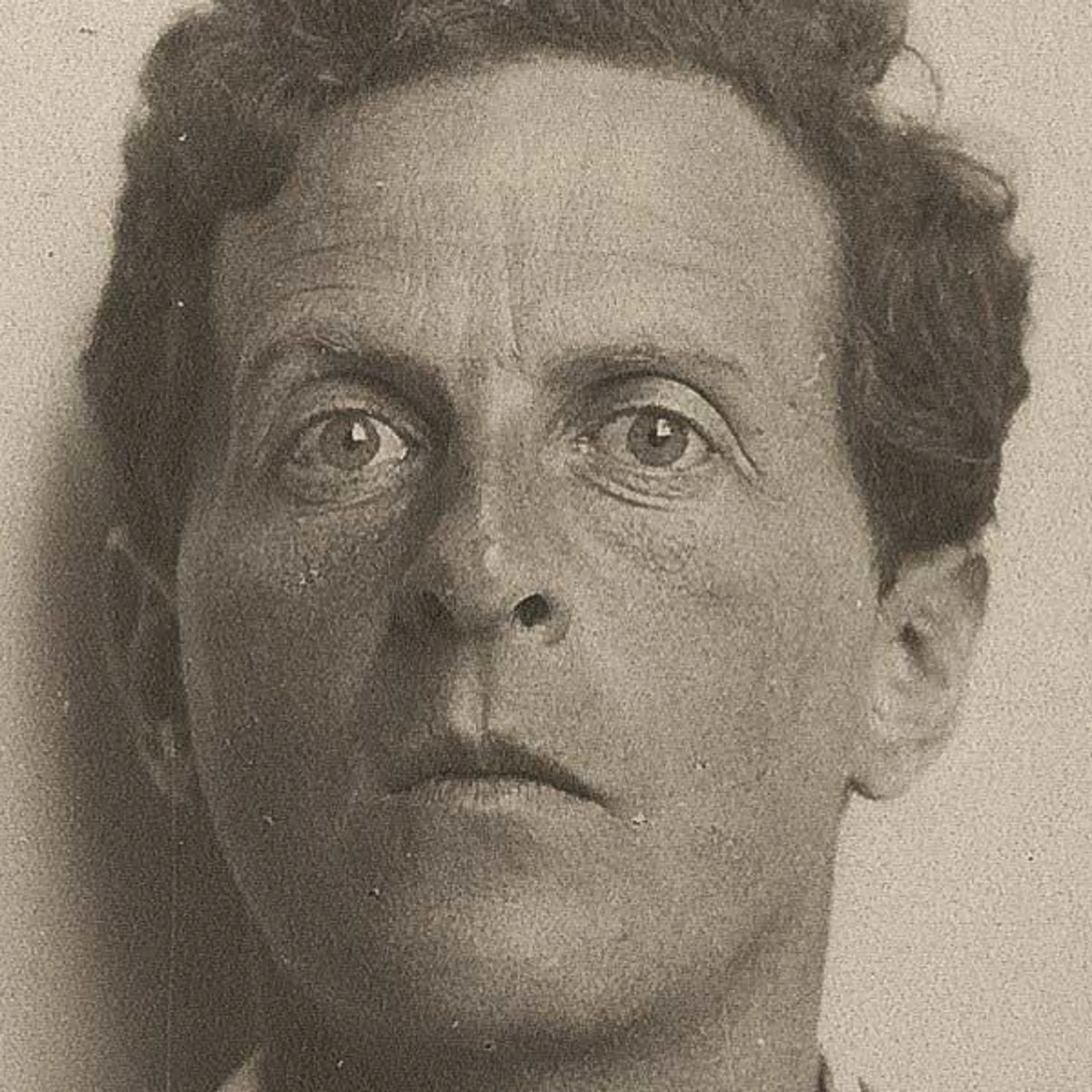 Bidragsyter Ludwig Wittgenstein