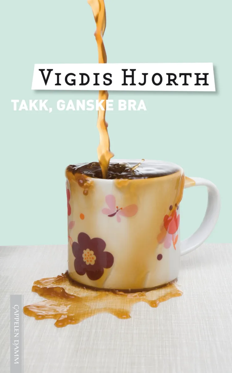 Omslag Takk, ganske bra av Vigdis Hjorth (Heftet)