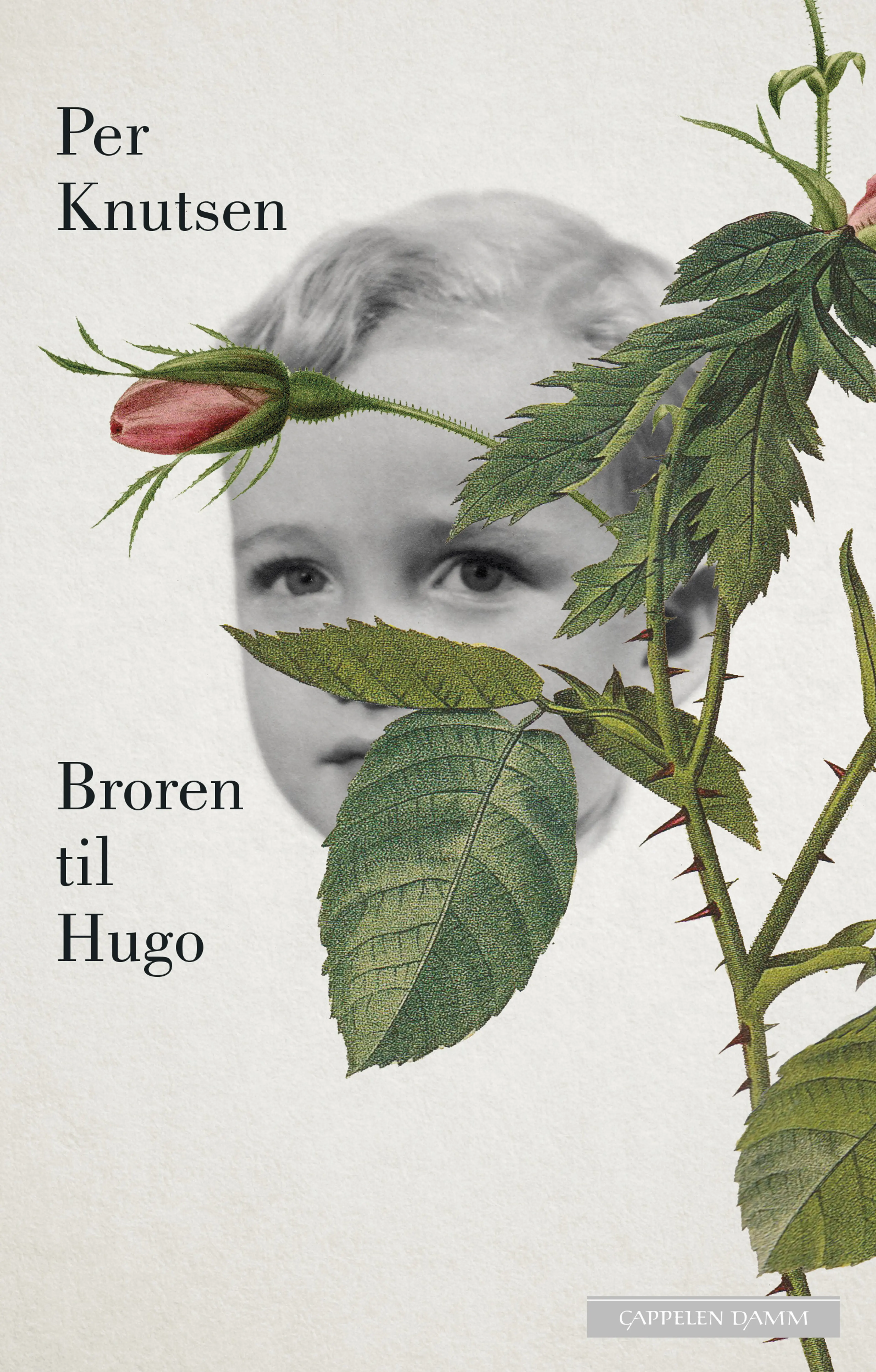 Omslag Broren til Hugo av Per Knutsen (Innbundet)