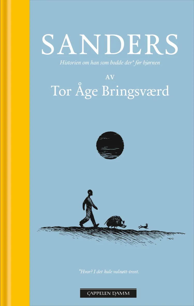 Omslag Sanders av Tor Åge Bringsværd (Innbundet)