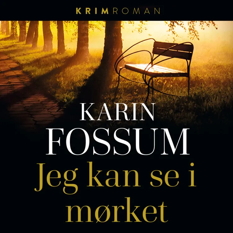Omslag Jeg kan se i mørket av Karin Fossum (Lydbok)