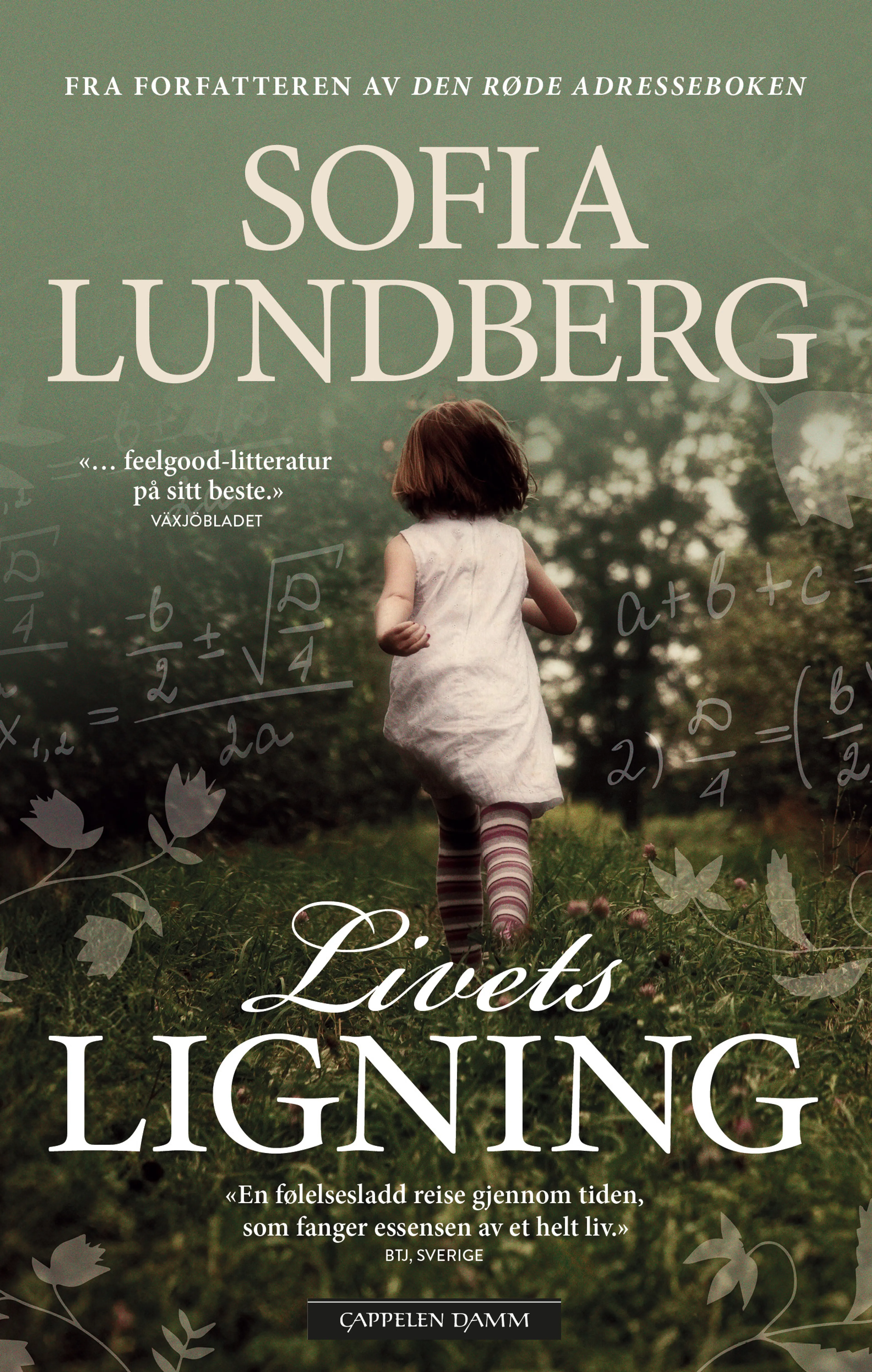 Omslag Livets ligning av Sofia Lundberg (Ebok)