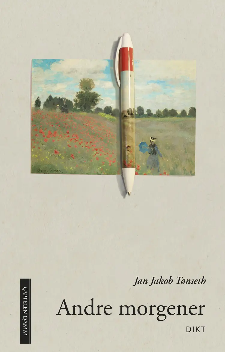 Omslag Andre morgener av Jan Jakob Tønseth (Ebok)