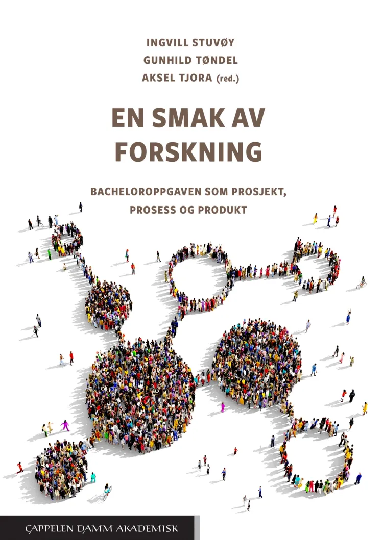 Omslag En smak av forskning av Ingvill Stuvøy, Gunhild Tøndel og Aksel Tjora (red.) (Heftet)