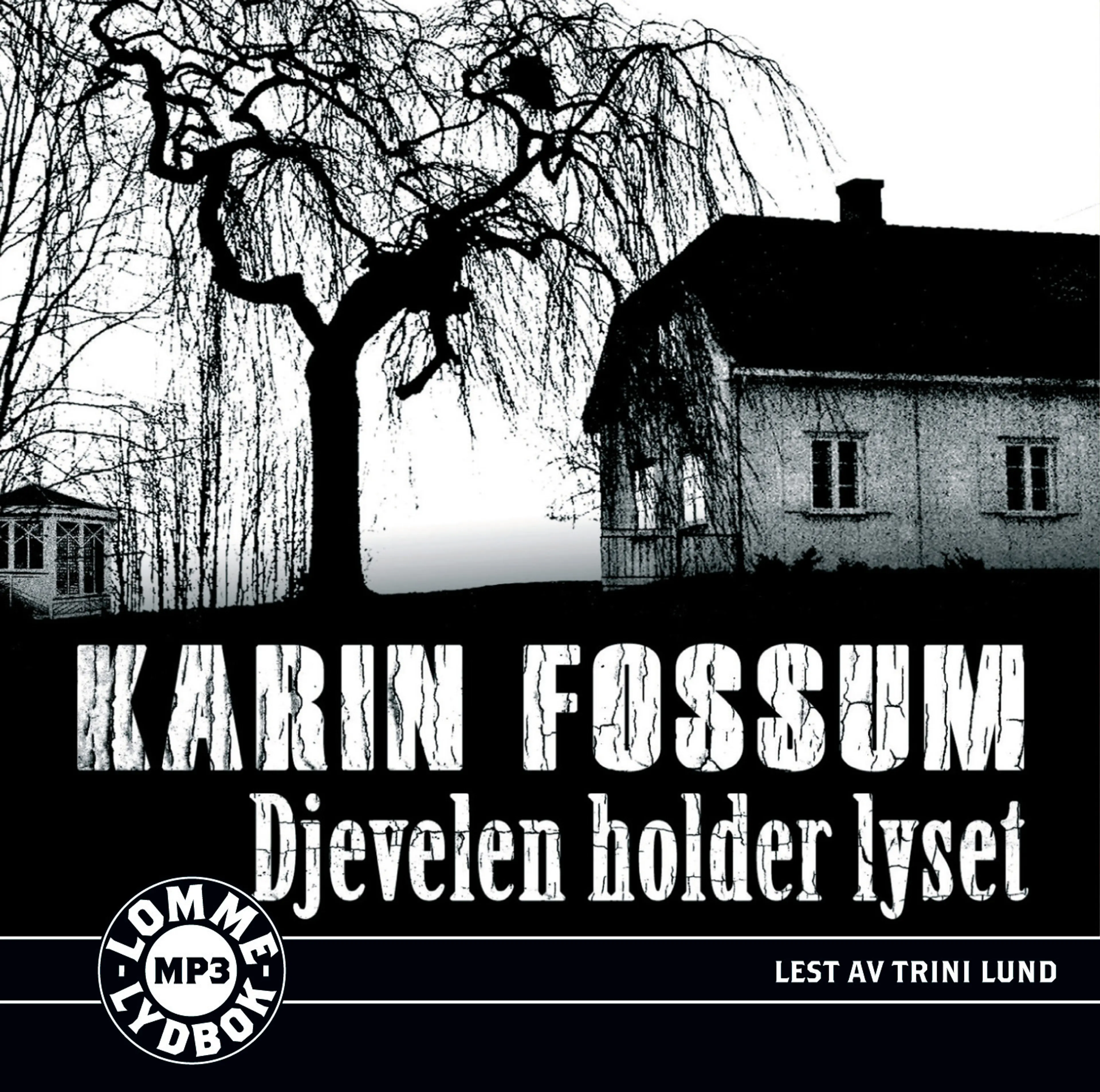 Omslag Djevelen holder lyset av Karin Fossum (CD)