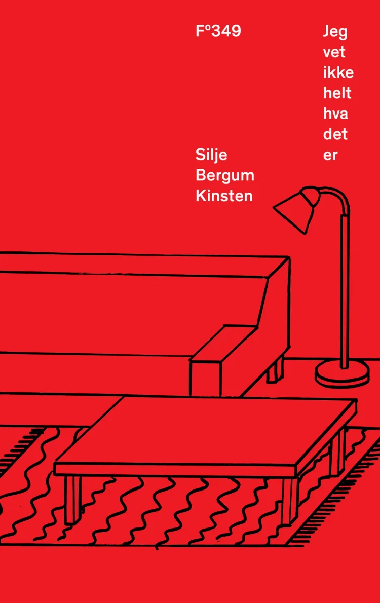 Omslag Jeg vet ikke helt hva det er av Silje Bergum Kinsten (Ebok)