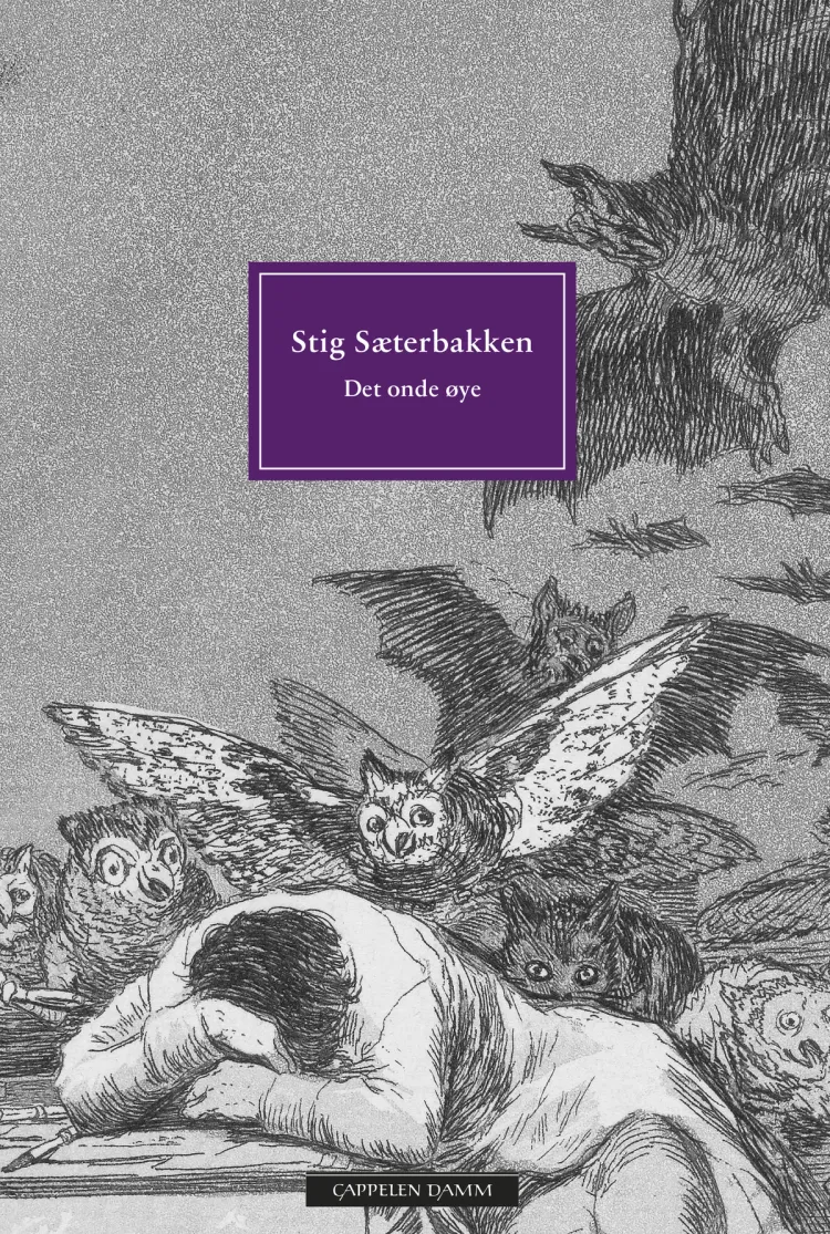 Omslag Det onde øye av Stig Sæterbakken (Heftet)