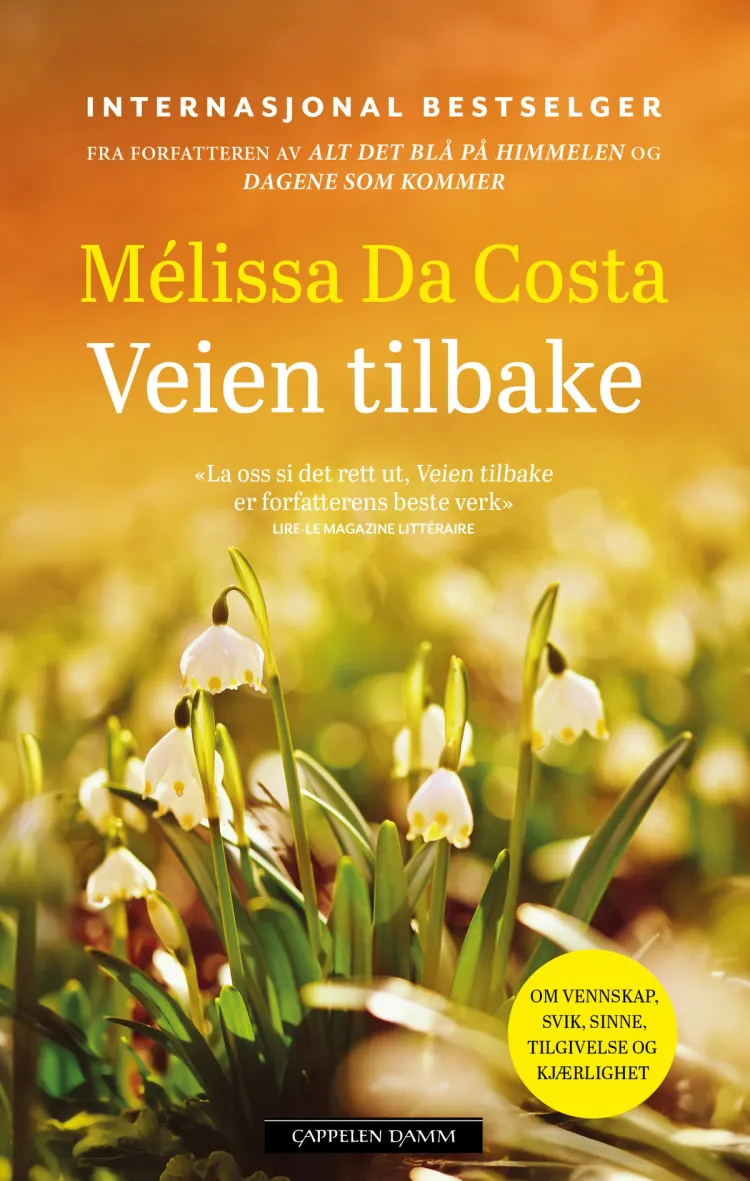 Omslag Veien tilbake av Mélissa Da Costa (Ebok)
