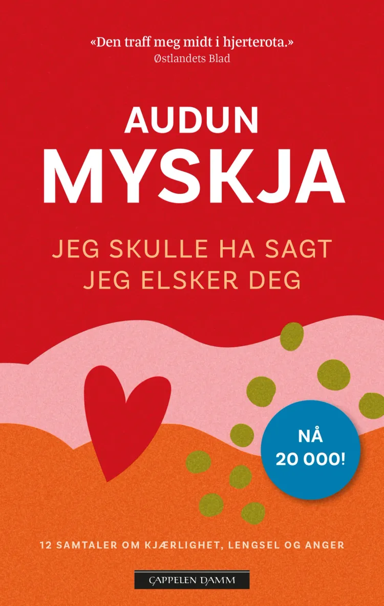 Omslag Jeg skulle ha sagt jeg elsker deg av Audun Myskja (Heftet)