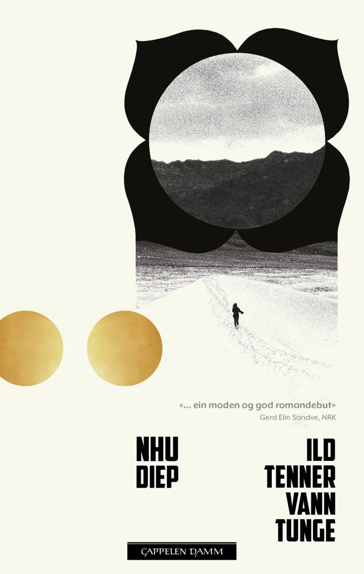 Omslag Ild, tenner, vann, tunge av Nhu Diep (Heftet)