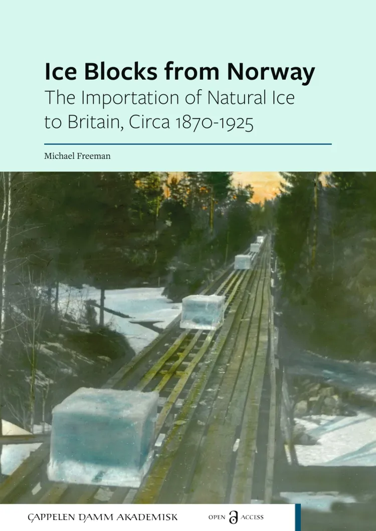 Omslag Ice Blocks from Norway av Michael Freeman (Heftet)