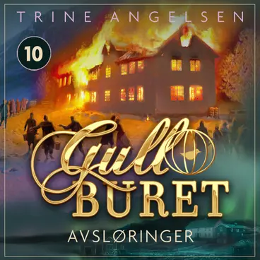 Omslag Avsløringer av Trine Angelsen (Lydbok)