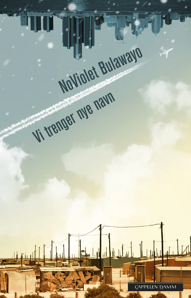 Omslag Vi trenger nye navn av NoViolet Bulawayo (Innbundet)