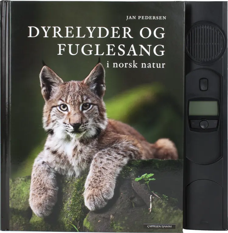 Omslag Dyrelyder og fuglesang i norsk natur av Jan Pedersen (Innbundet)