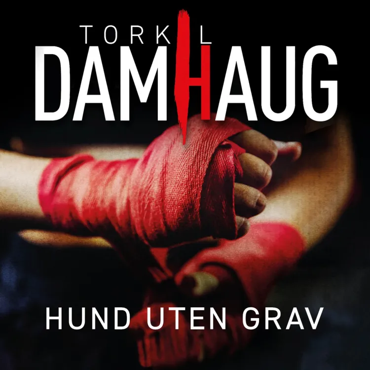 Omslag Hund uten grav av Torkil Damhaug (Lydbok)