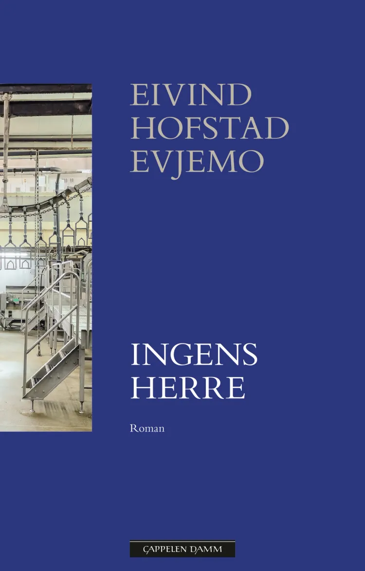 Omslag Ingens herre av Eivind Hofstad Evjemo (Innbundet)