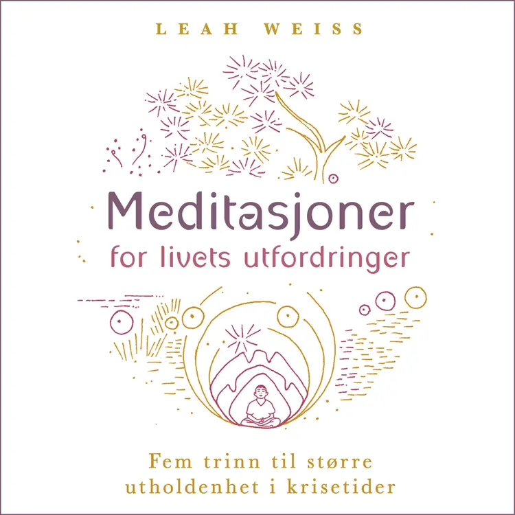 Omslag Meditasjoner for livets utfordringer av Leah Weiss (Lydbok)