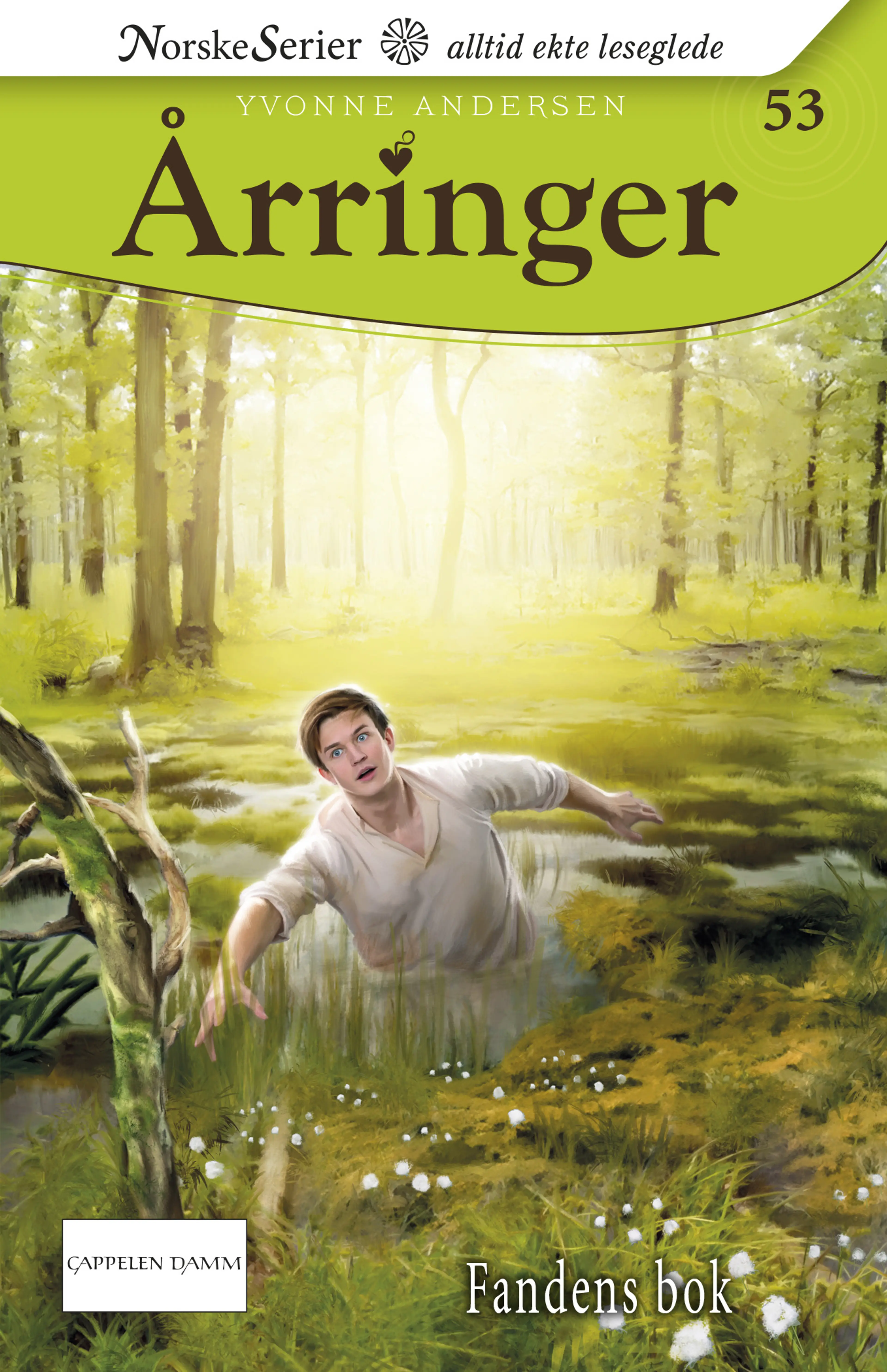 Omslag Fandens bok av Yvonne Andersen (Ebok)