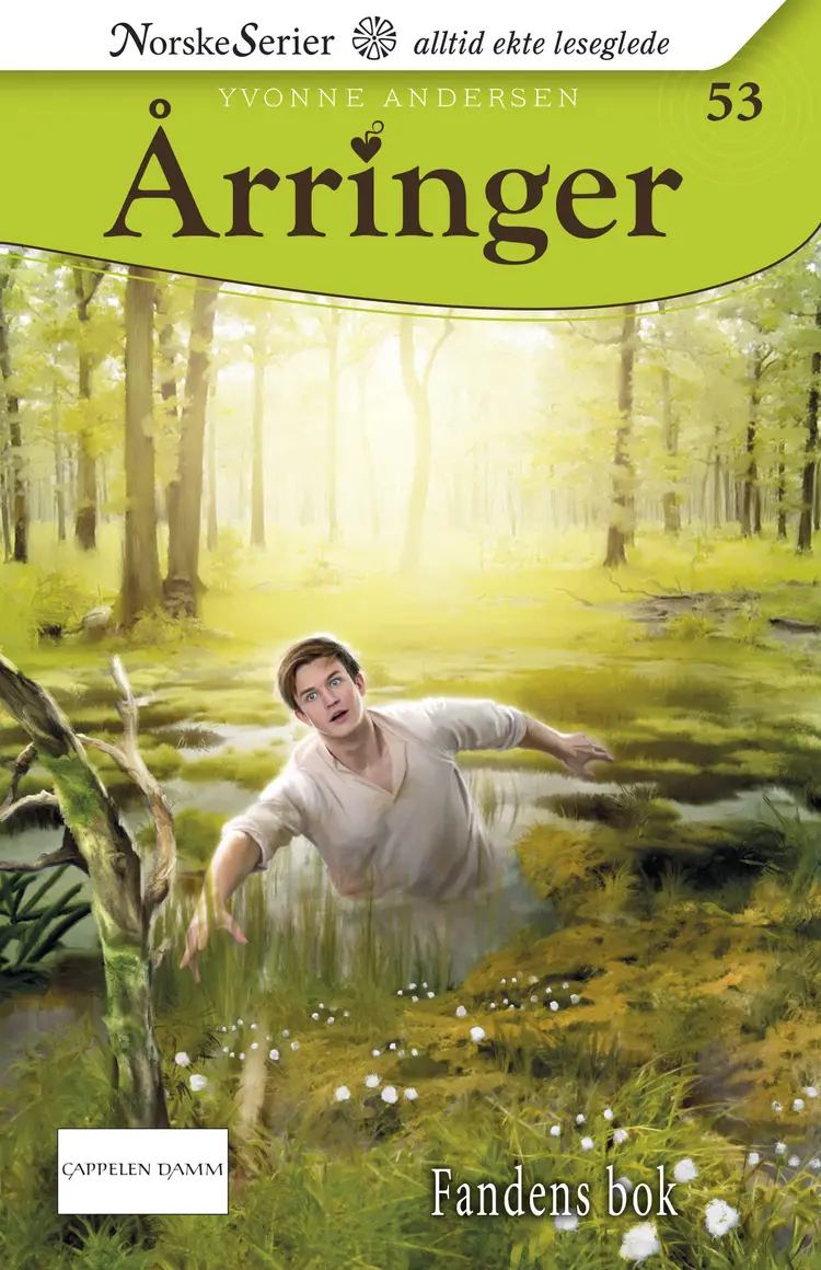 Omslag Fandens bok av Yvonne Andersen (Ebok)