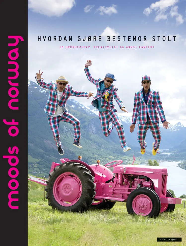 Omslag Hvordan gjøre bestemor stolt av Moods of Norway (Innbundet)