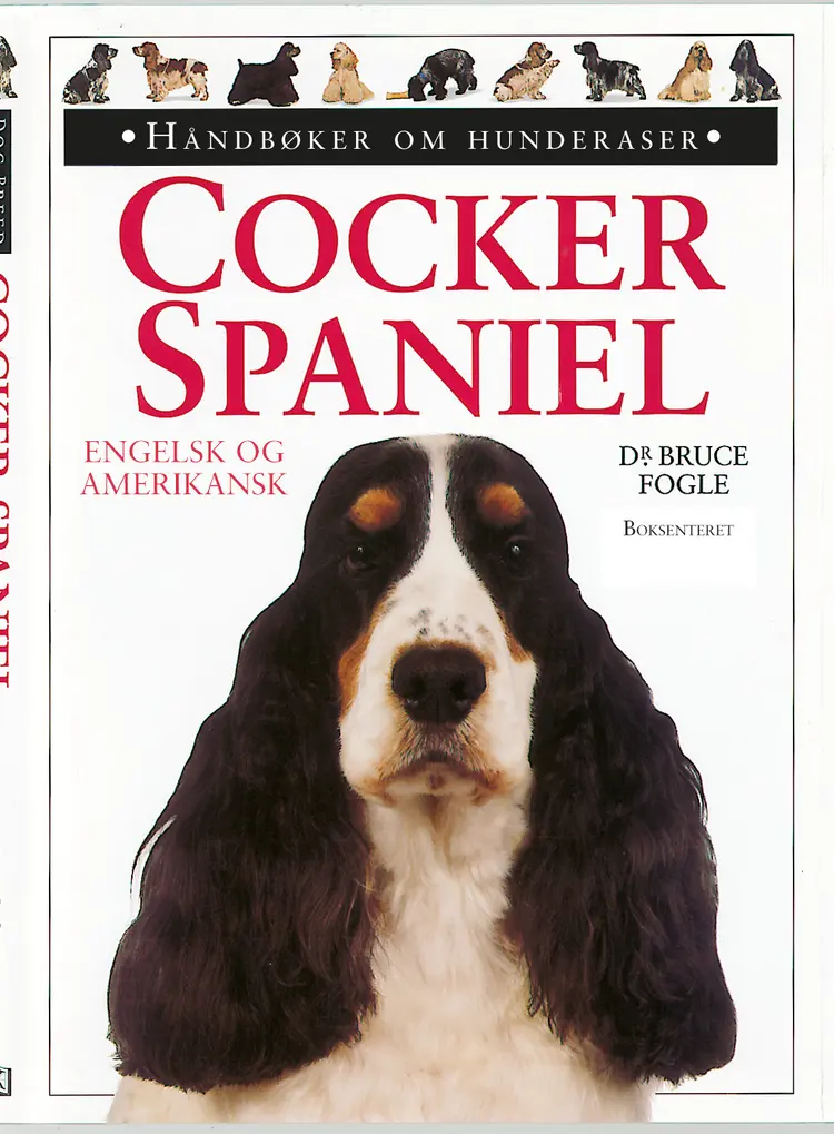 Omslag Cocker spaniel av Bruce Fogle (Innbundet)