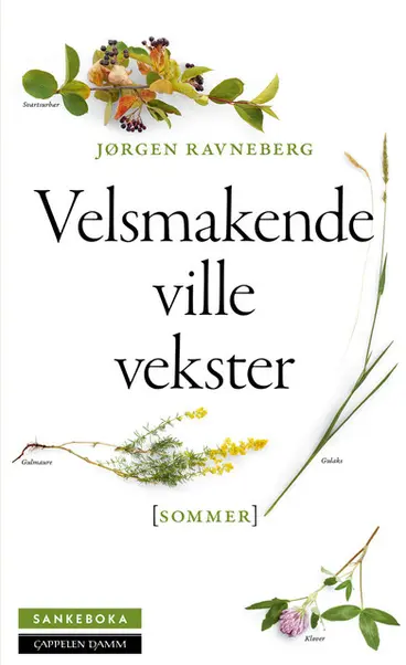 Omslag Sankeboka sommer av Jørgen Ravneberg (Innbundet)