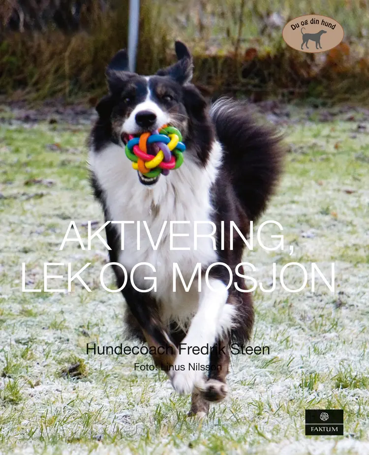 Omslag Aktivering, lek og mosjon (Innbundet)