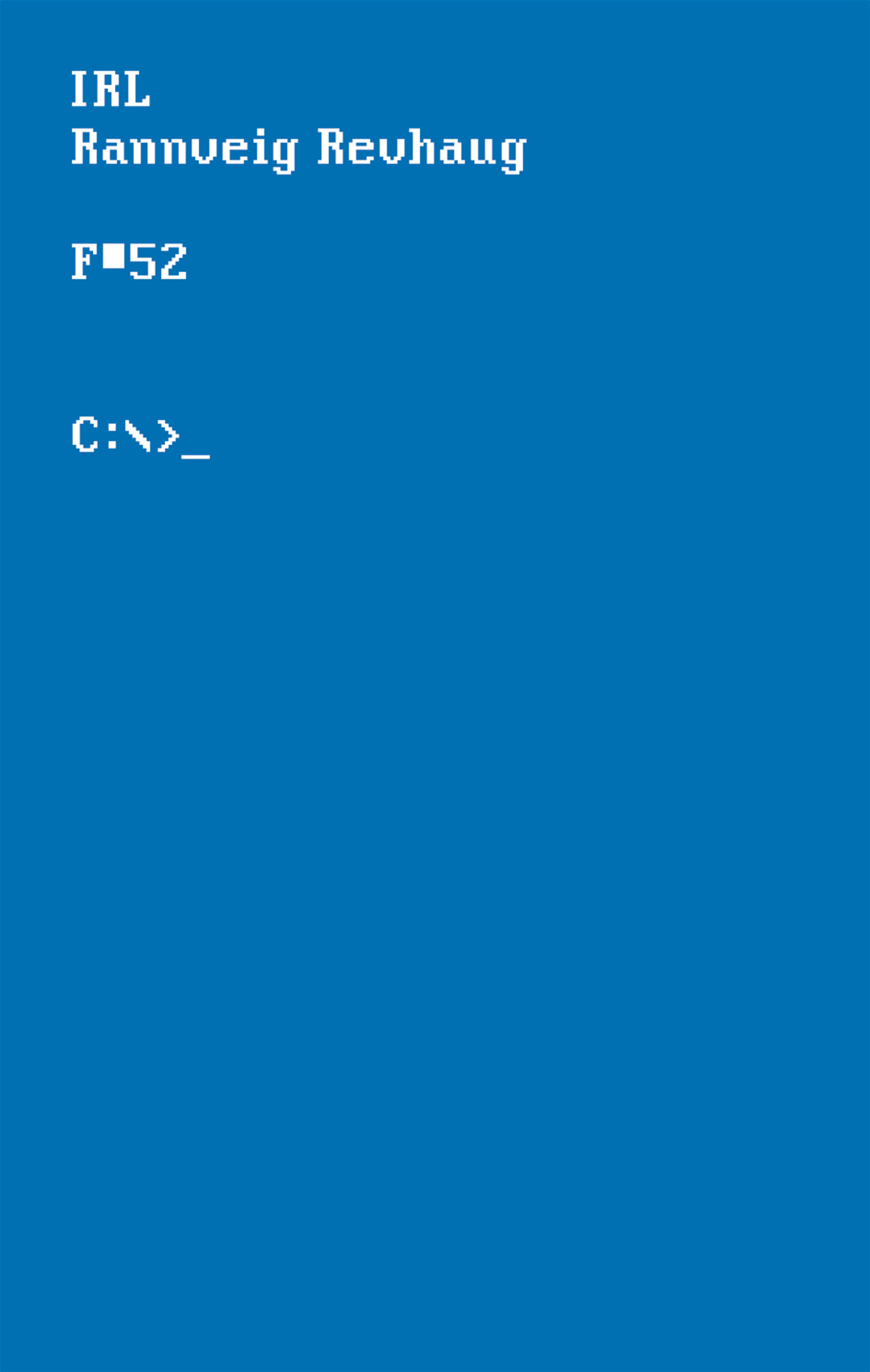 Omslag IRL av Rannveig Revhaug (Innbundet)