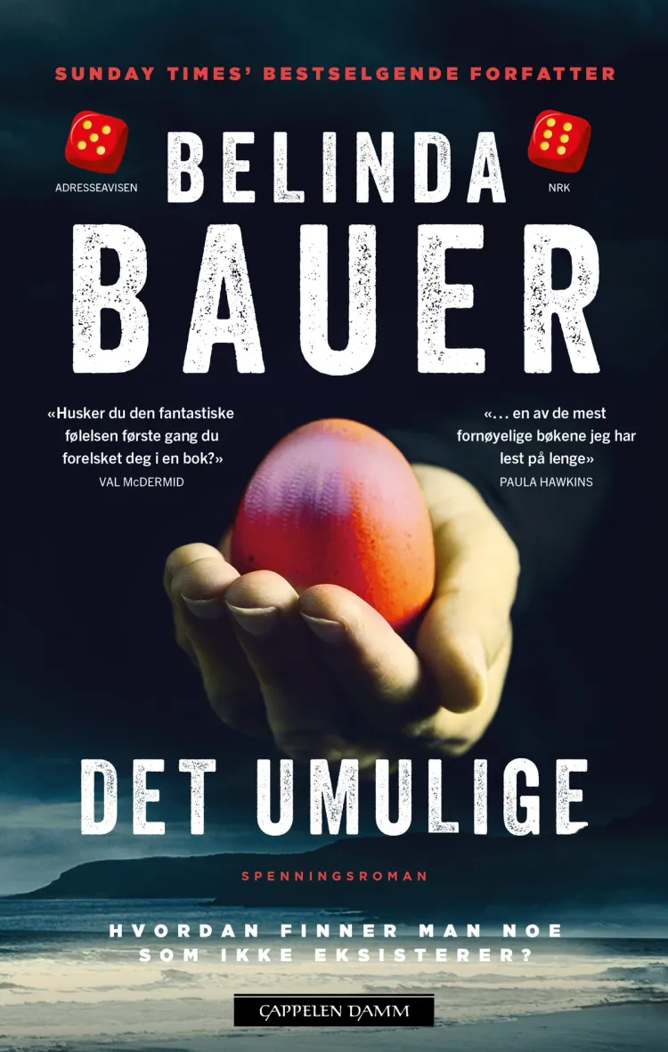 Omslag Det umulige av Belinda Bauer (Heftet)