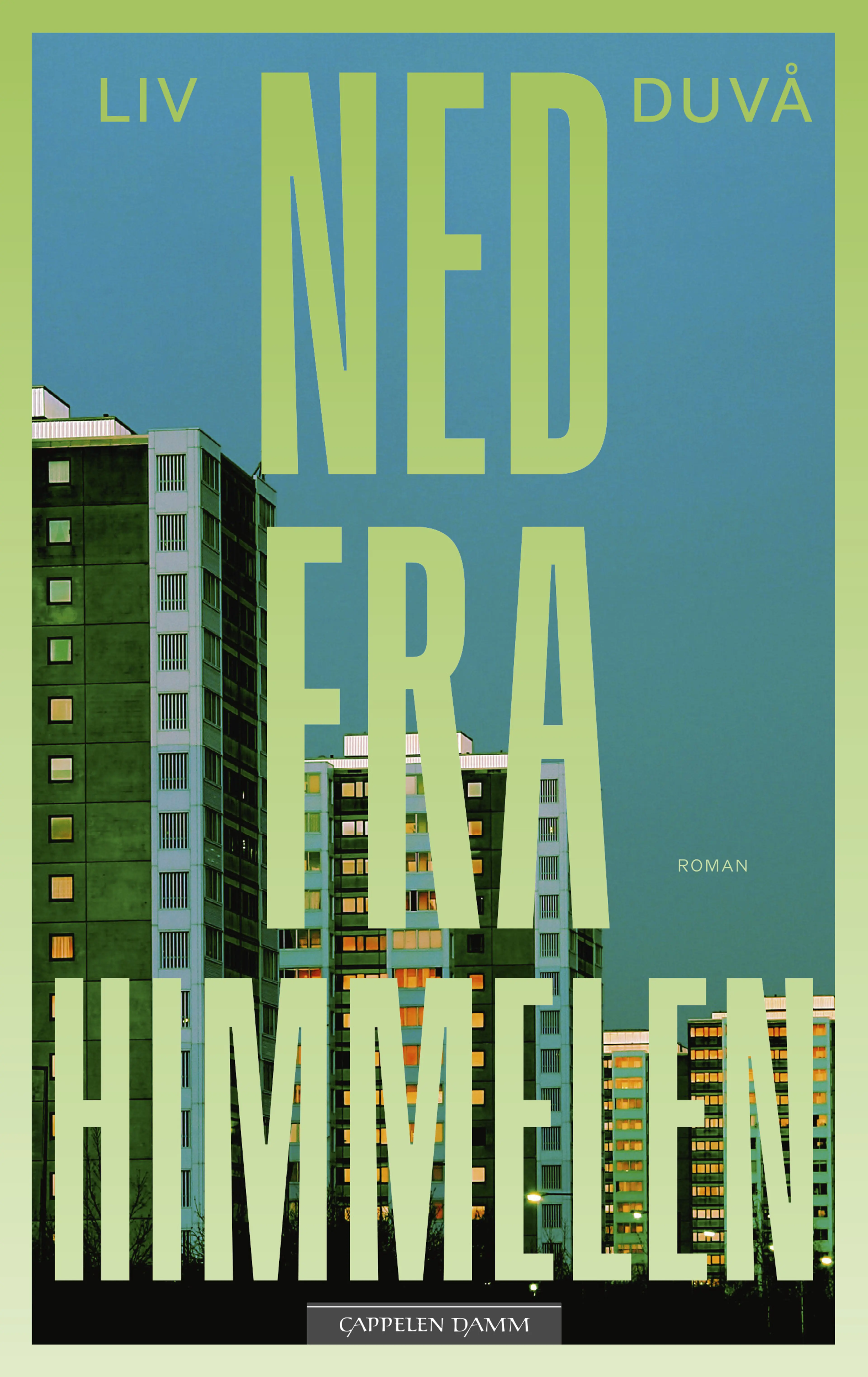 Omslag Ned fra himmelen av Liv Duvå (Ebok)