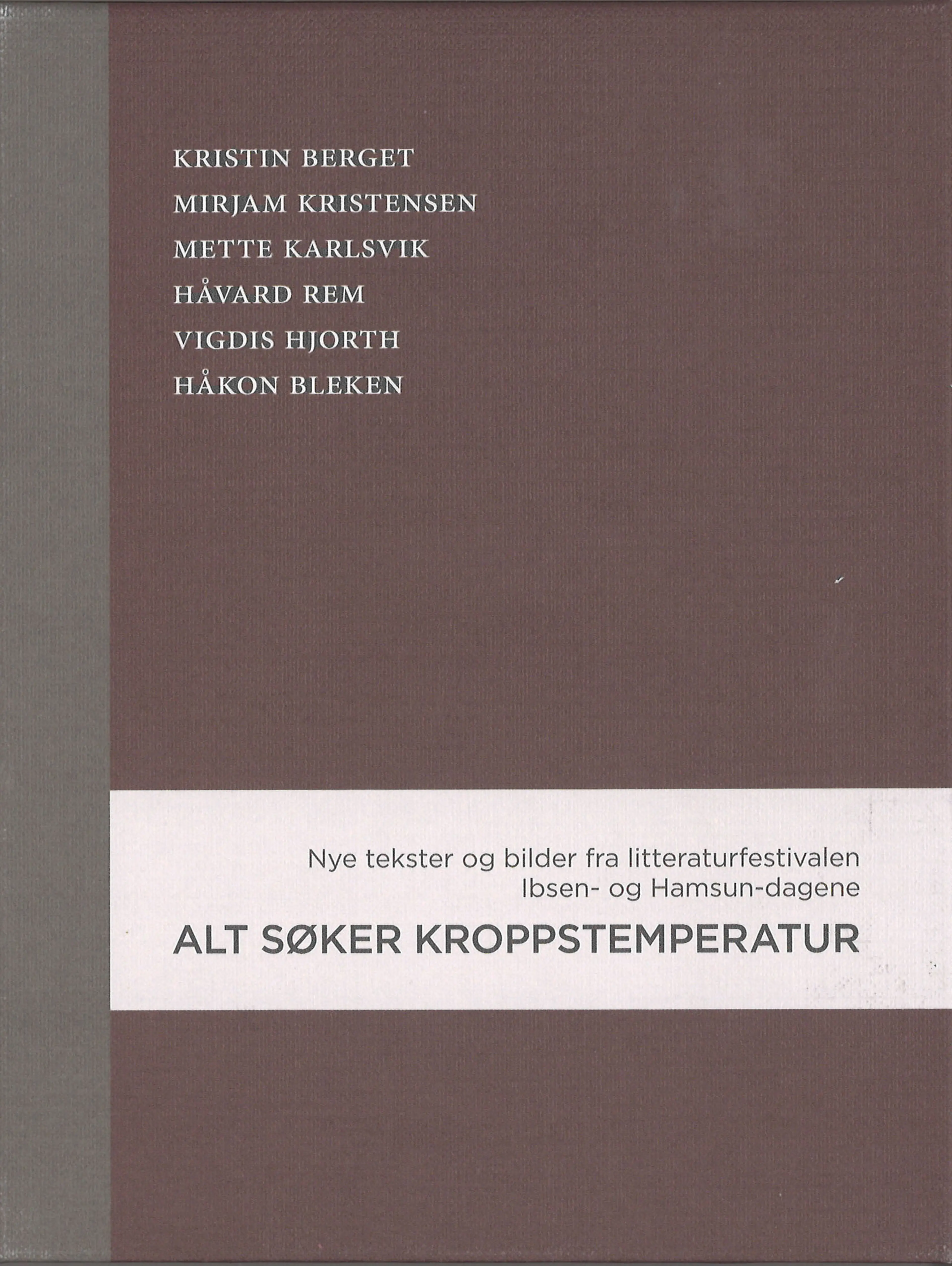Omslag Alt søker kroppstemperatur av Kristin Berget, Mirjam Kristensen, Mette Karlsvik, Håvard Rem, Vigdis Hjorth og Håkon Bleken (Innbundet)