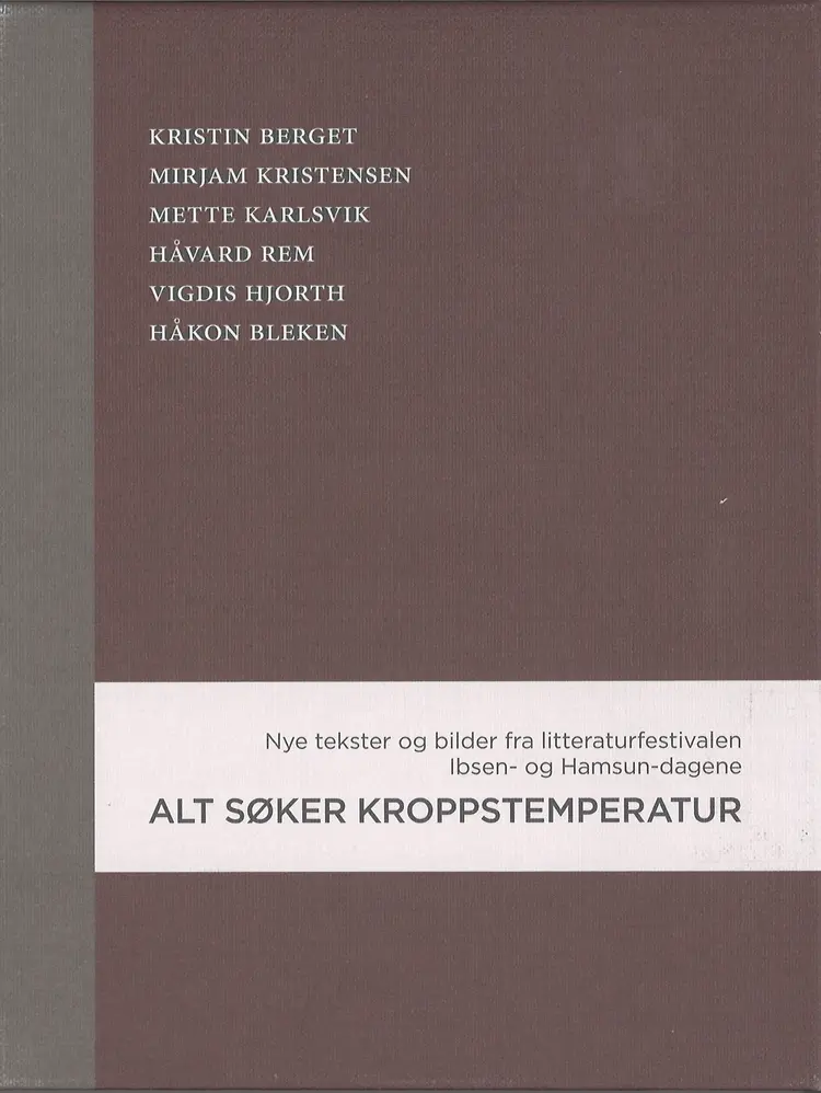 Omslag Alt søker kroppstemperatur av Kristin Berget, Mirjam Kristensen, Mette Karlsvik, Håvard Rem, Vigdis Hjorth og Håkon Bleken (Innbundet)