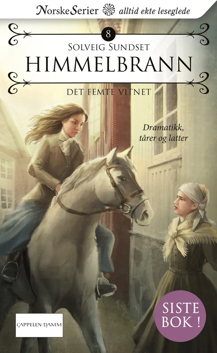 Omslag Det femte vitnet av Solveig Sundset (Ebok)