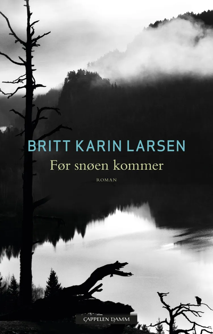 Omslag Før snøen kommer av Britt Karin Larsen (Ebok)