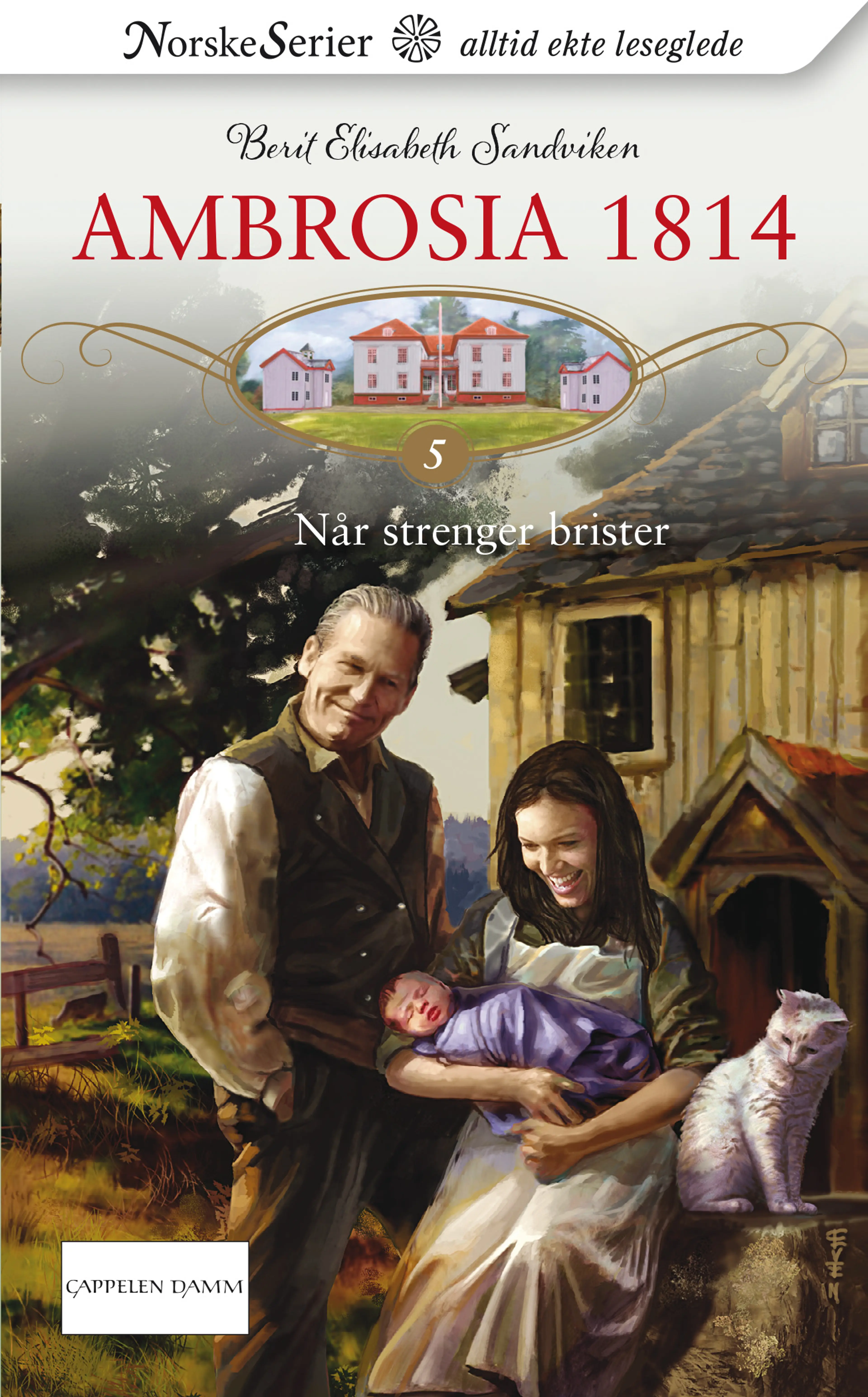 Omslag Når strenger brister av Berit Elisabeth Sandviken (Ebok)