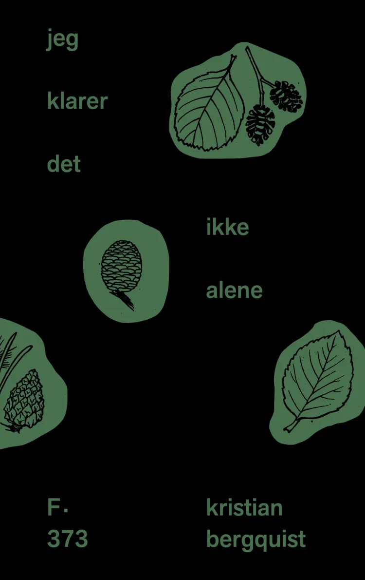 Omslag Jeg klarer det ikke alene av Kristian Bergquist (Innbundet)