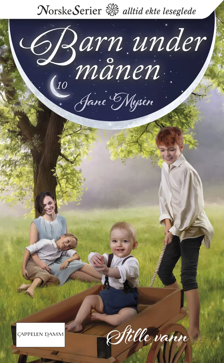 Omslag Stille vann av Jane Mysen (Heftet)
