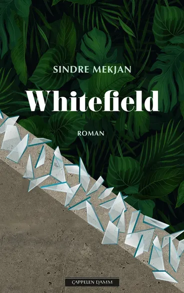 Omslag Whitefield av Sindre Mekjan (Innbundet)