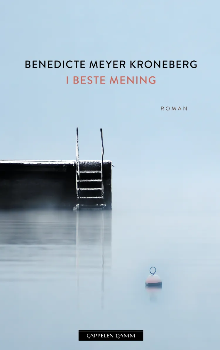 Omslag I beste mening av Benedicte Meyer Kroneberg (Innbundet)